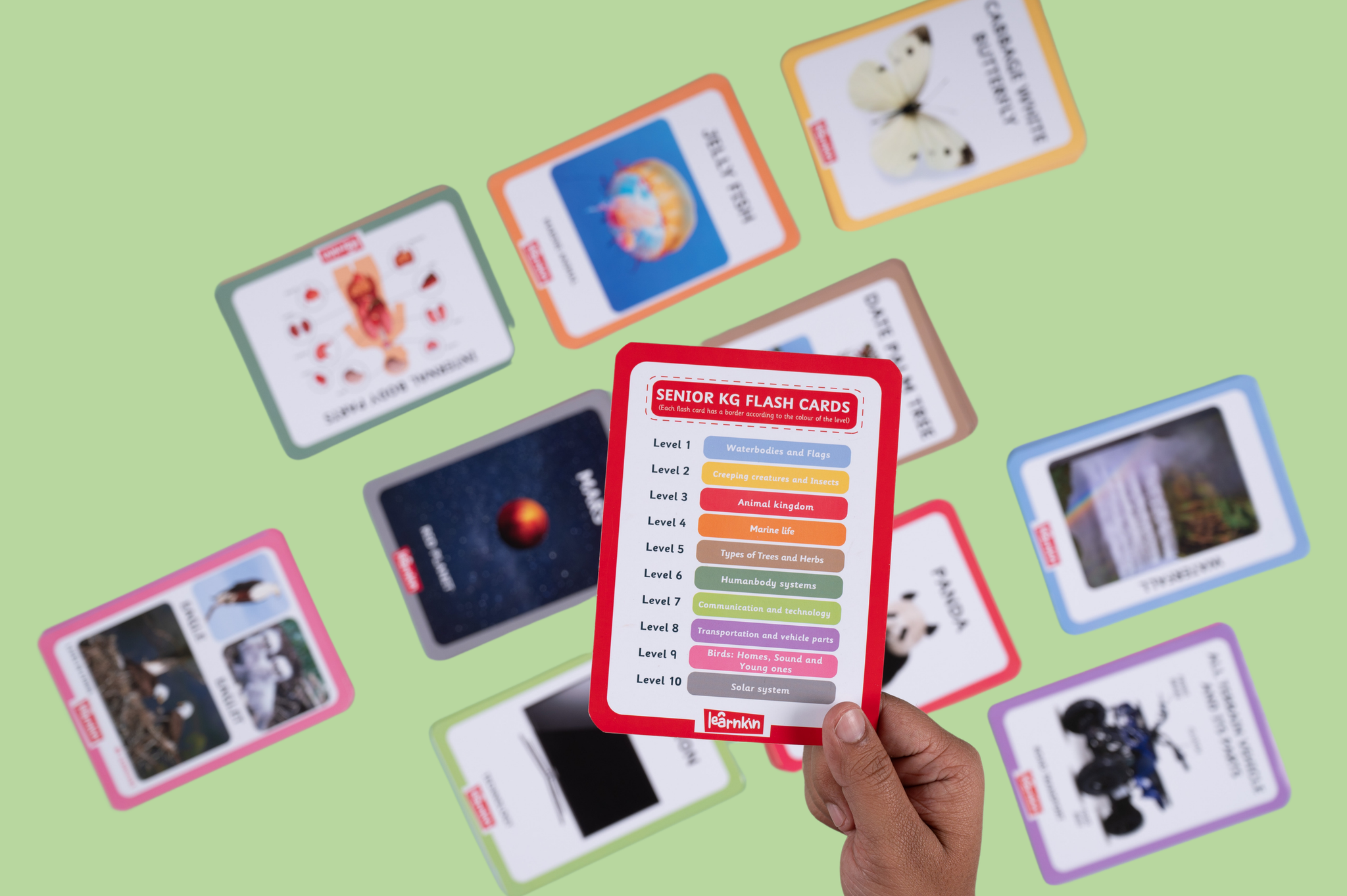 Senior Kg FLASHCARDS (5 to 6 years)
