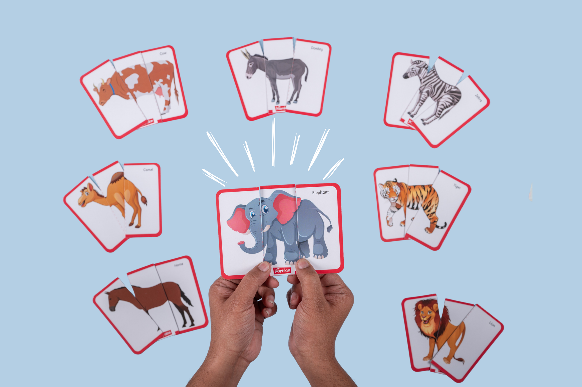 Animal Puzzle NEW