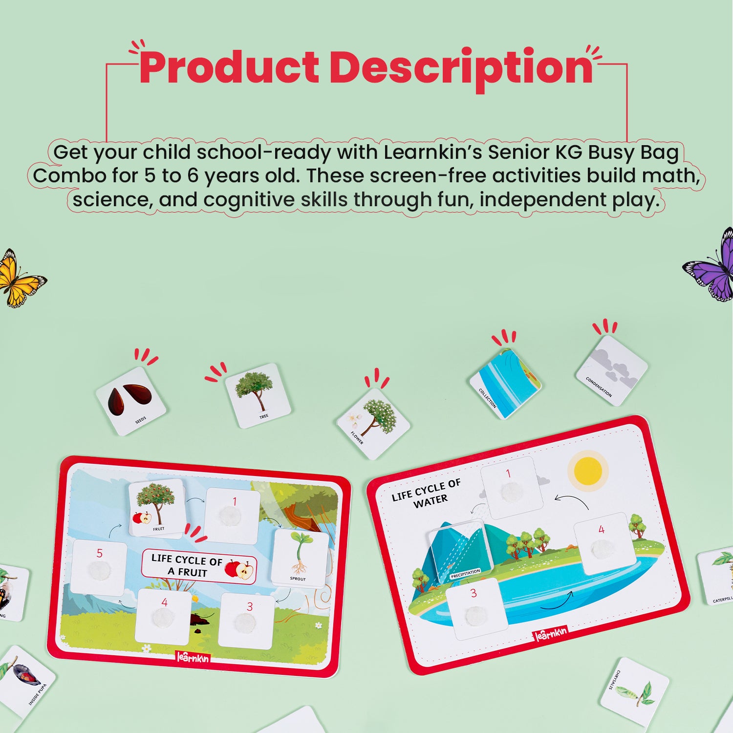 Combo for Ages 5 to 6 Years | Set of 4