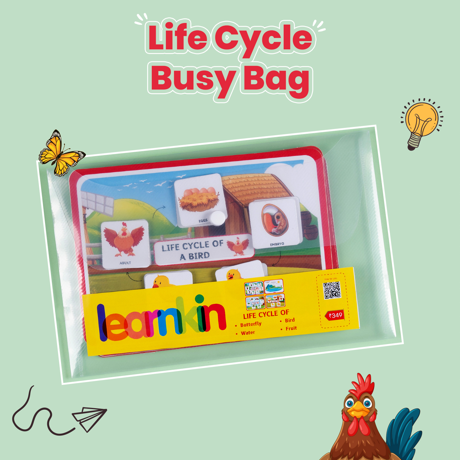 LIFE CYCLE (Age 5 to 6 Years) | Busybag